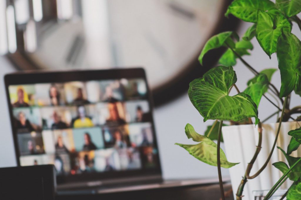 Laptop with web host for nonprofit website. 